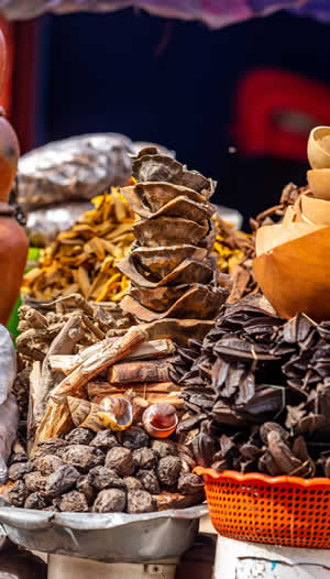 traditional-medicine