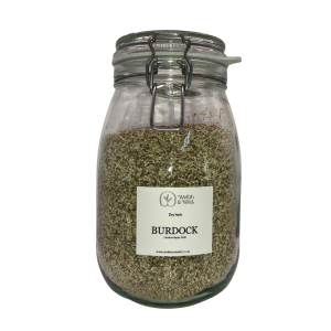 Storage jar containing Burdock Root (Arctium lappa)