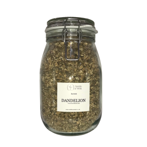Storage jar containing Dandelion Root (Taraxacum officinale)