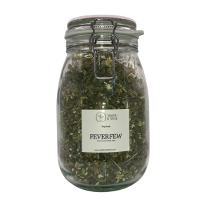 Storage jar containing Feverfew Herb (Tanacetum parthenium)