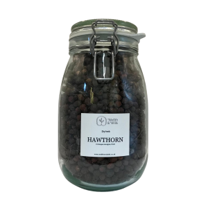 Storage jar containing Hawthorn Berry (Crataegus monogyna)