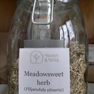 Meadowsweet (Filipendula ulmaria)