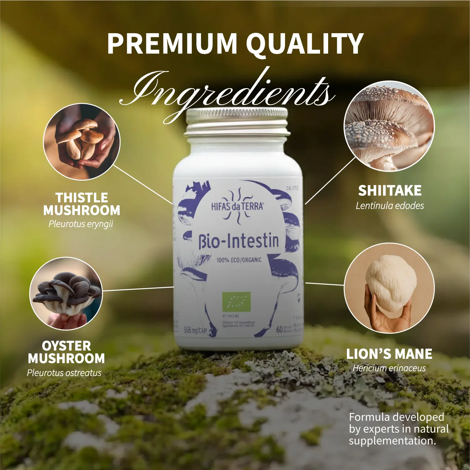 Image showing premium quality ingredients in Bio-Intestin