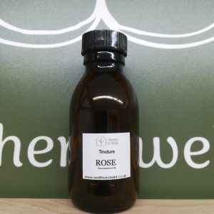 Rose Petal (Rosa damascena)