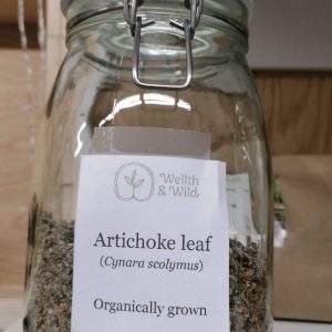 Artichoke (Cynara scolymus) Leaf