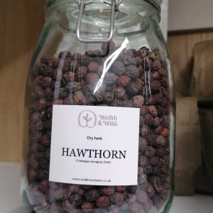 Hawthorn berry (Crataegus monogyna)