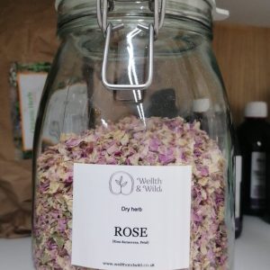 Rose Petal (Rosa damascena)