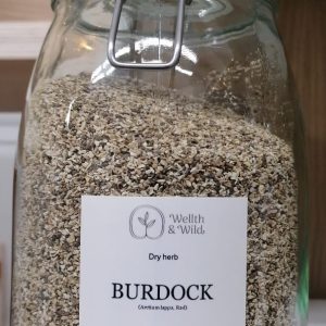 Burdock (Arctium lappa) Root