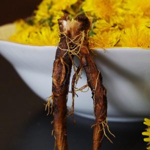 Dandelion Root (Taraxacum officinale)
