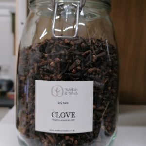 Clove (Syzygium aromaticum) Bud