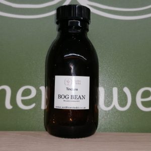 Bog bean (Menyanthes trifoliata) Herb