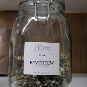 Feverfew Herb (Tanacetum parthenium) - Tea