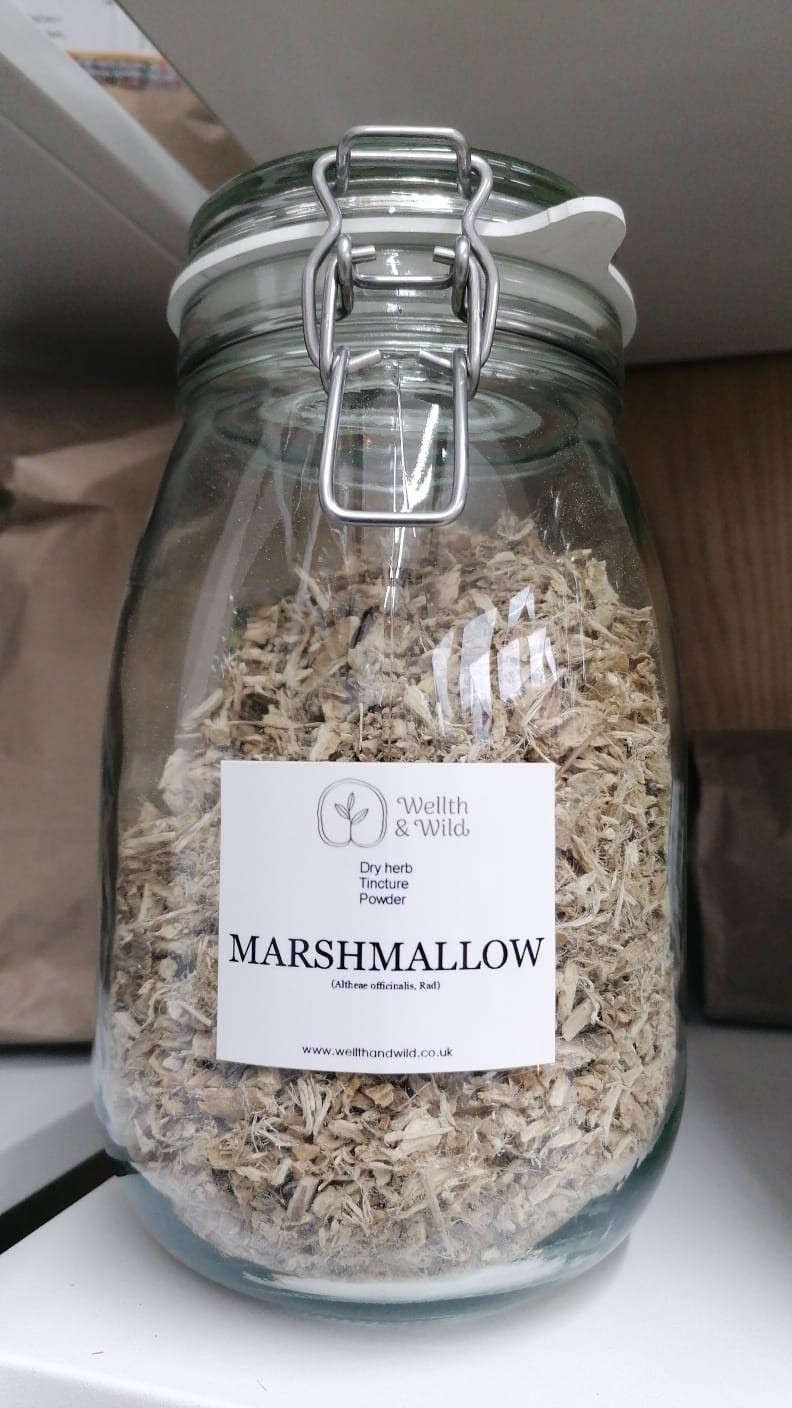 Marsh Mallow Root (Althaea officinalis) 100ml