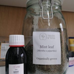 Mint Leaf (Mentha × piperita) — Tincture