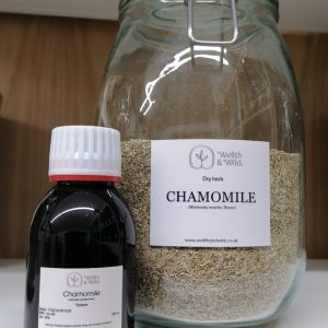 Chamomile (Matricaria recutita) Flower