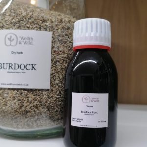 Burdock (Arctium lappa) Root