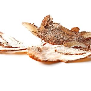 Angelica Root (Angelica archangelica) Root