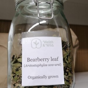 Bearberry (Arctostaphylos uva-ursi) Leaf