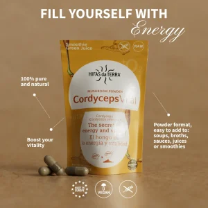 Image showing Cordyceps and energy information